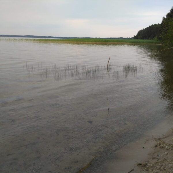 Кемпинг Кочерги