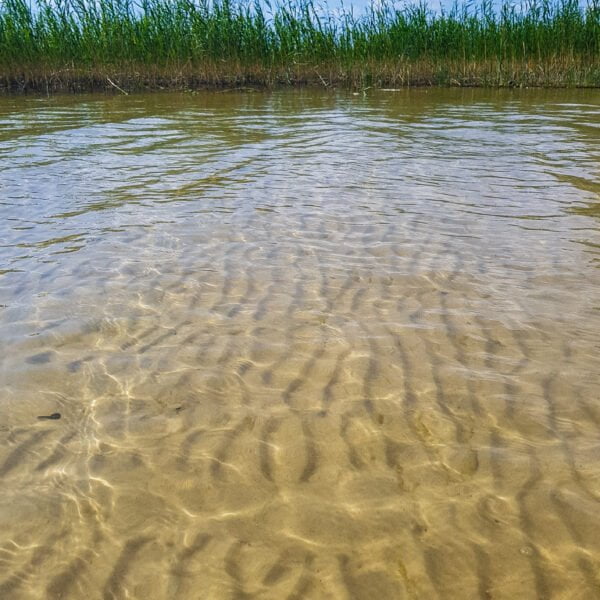 Туристическая стоянка Кочерги