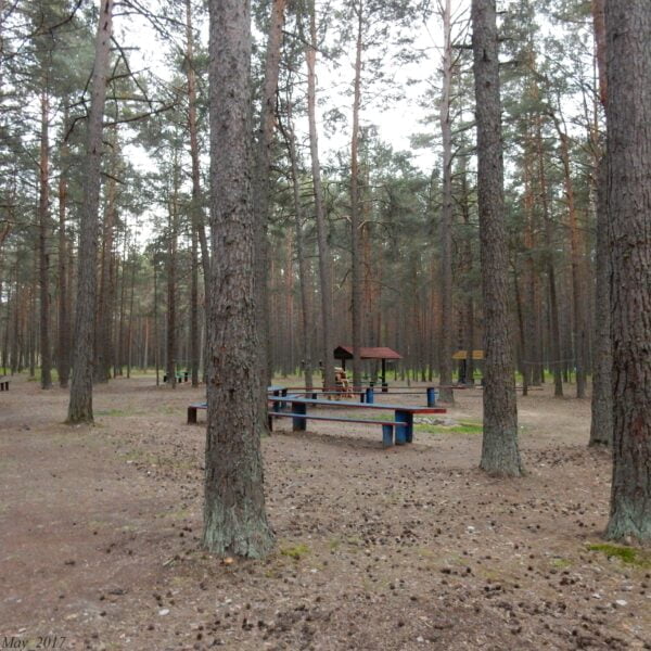 Кемпинг Кочерги