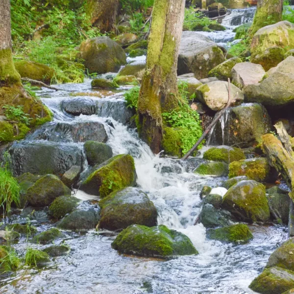 Кемпинг Мельница