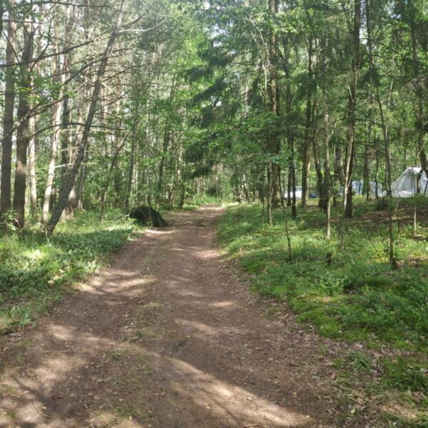 Туристическая стоянка Коньково