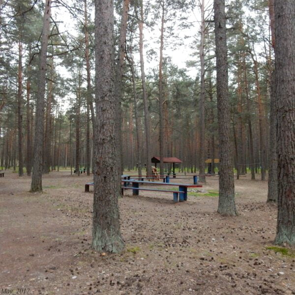 Кемпинт Лагерь