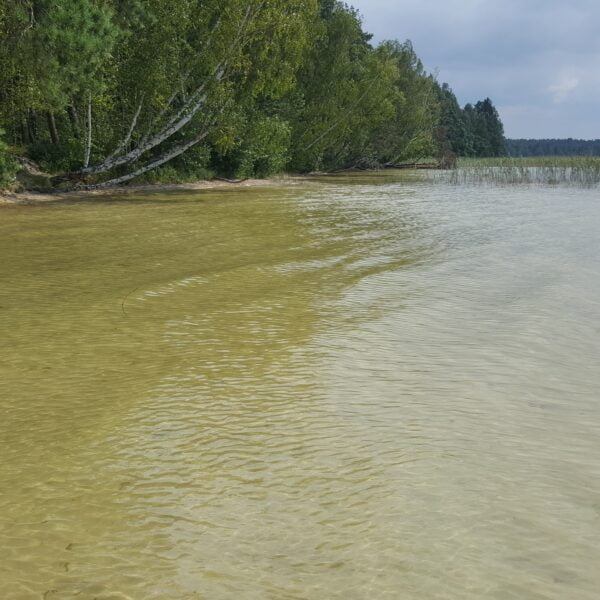 Кемпинг Белое