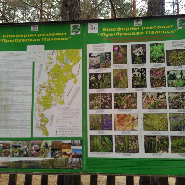 База отдыха Селяхи