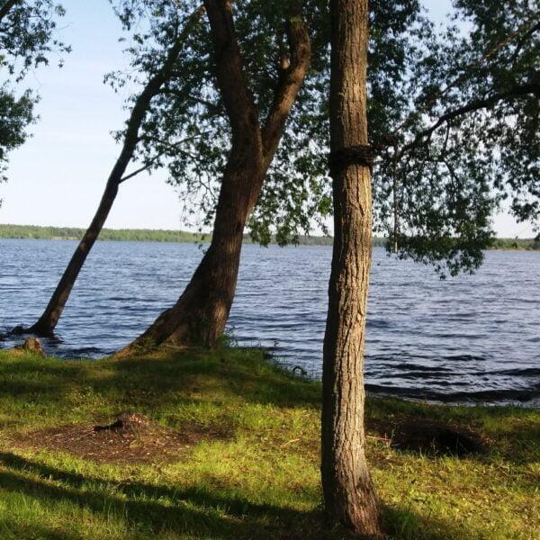 Кемпинг Комсомольский берег