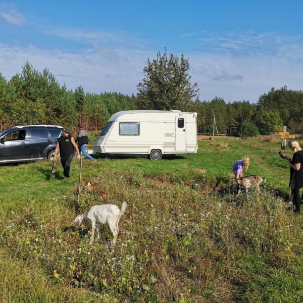 Кемпинг Буда