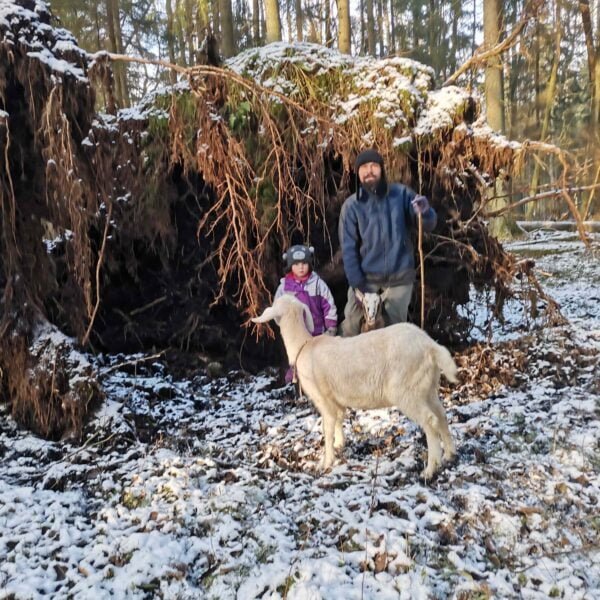 Кемпинг Буда