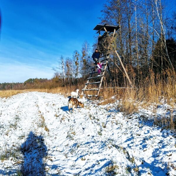 Кемпинг Буда