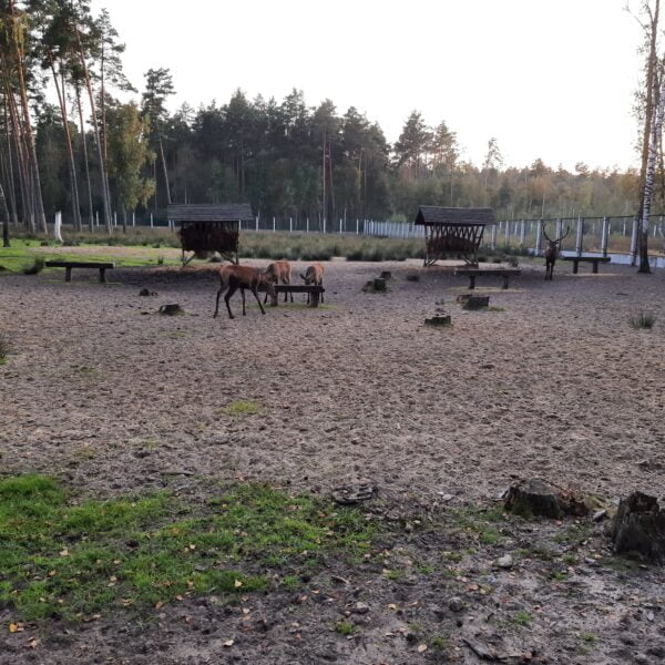 Дом охотника Переров