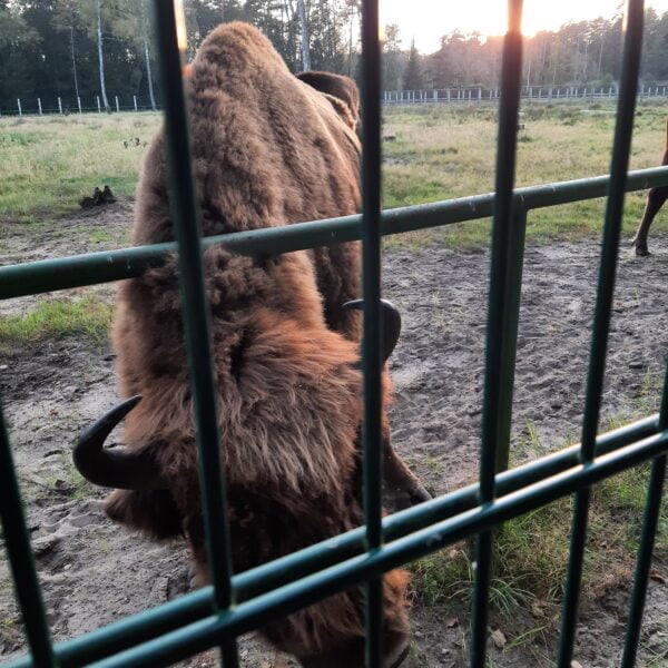 Кемпинг Переров