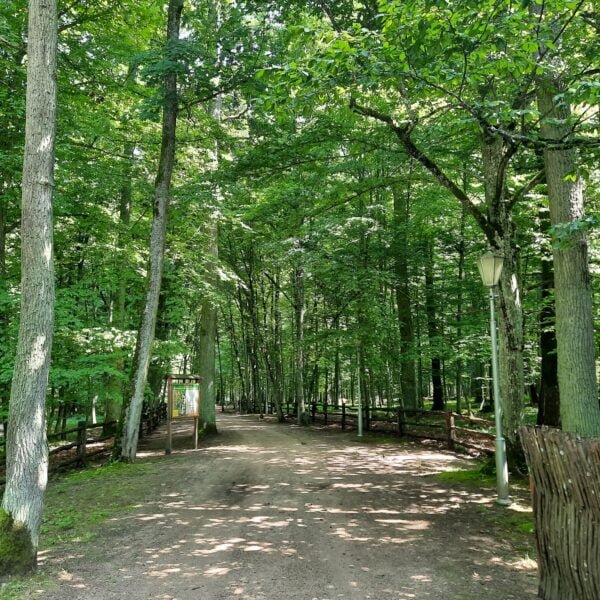 Кемпинг Переров