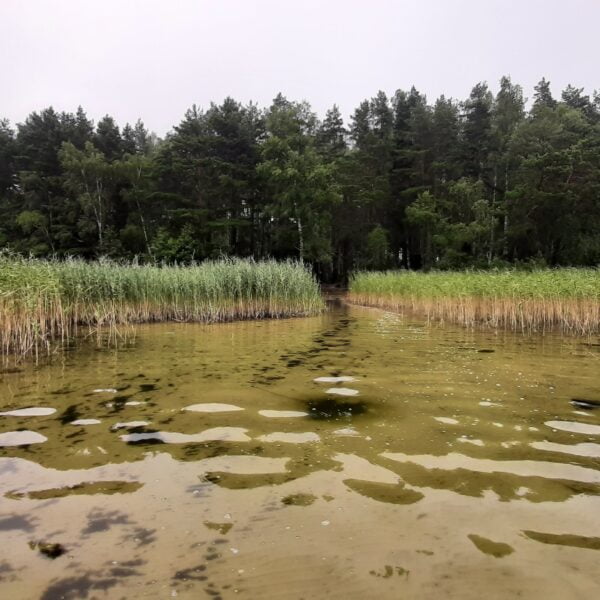 Кемпинг Белое