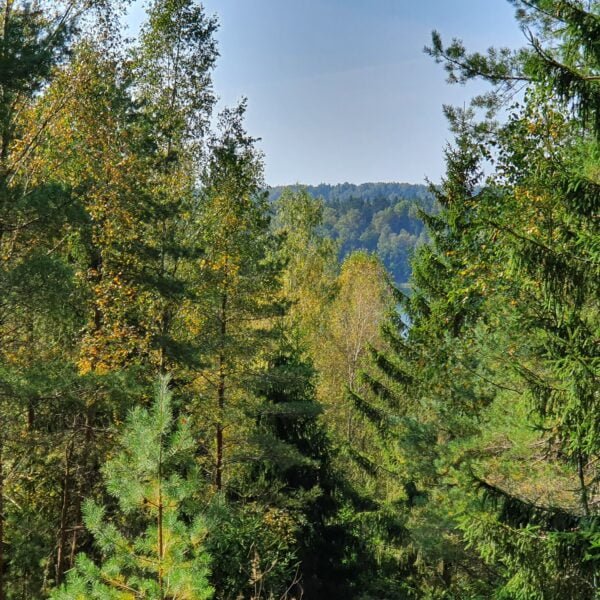 Туристическая стоянка Тюкши 2