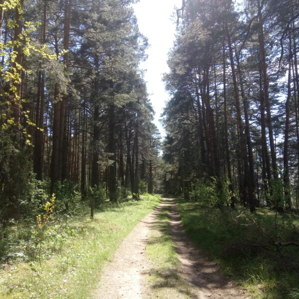 Кемпинт Лагерь