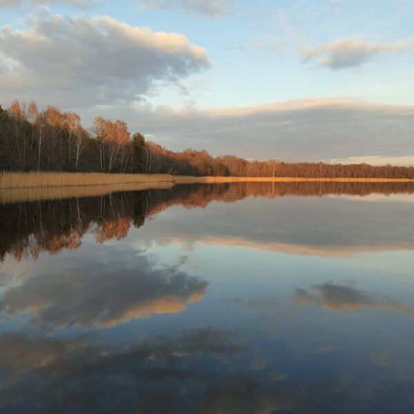 Кемпинг Селяхи
