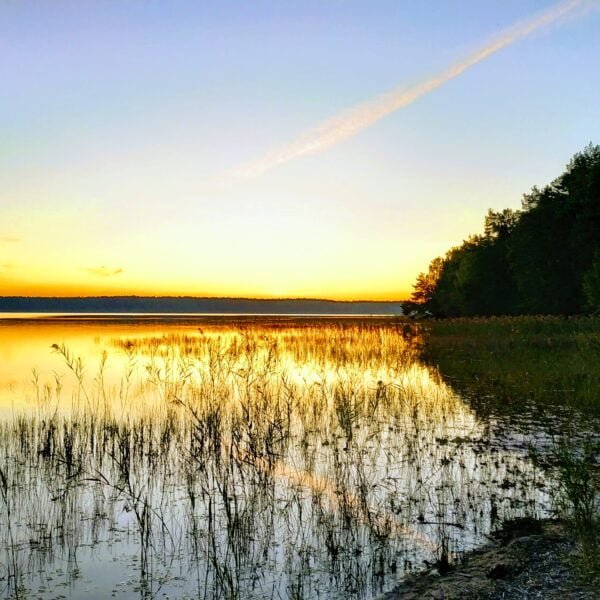 Кемпинг Белое