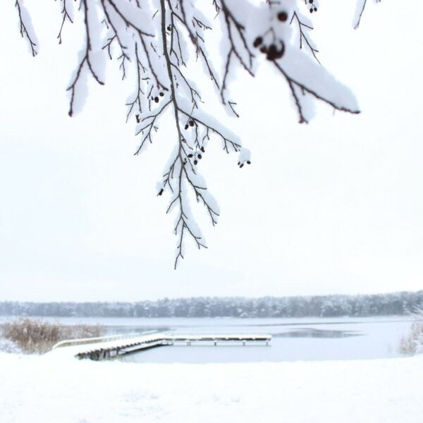 Кемпинг Селяхи
