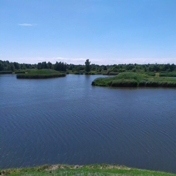 Кемпинг Шальное озеро