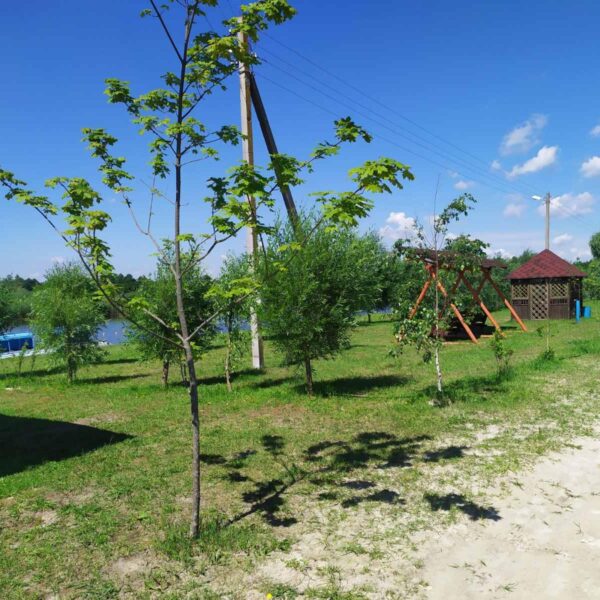 База отдыха Шальное озеро