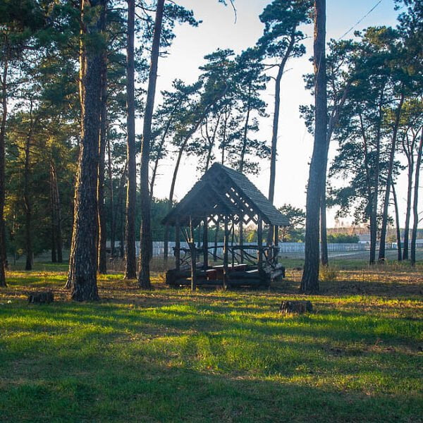 База отдыха Шальное озеро