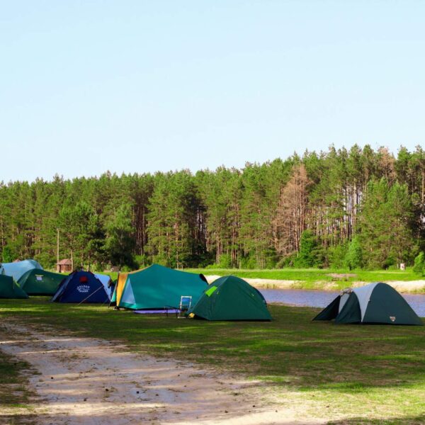 База отдыха Шальное озеро