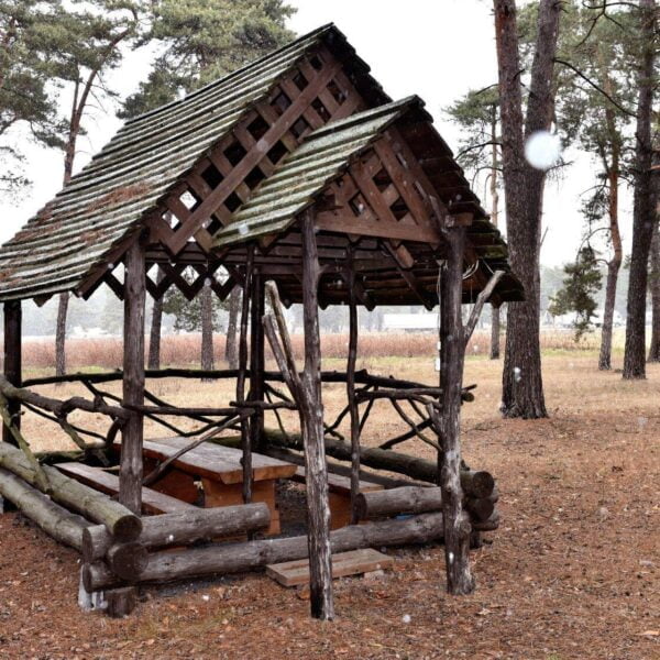 База отдыха Шальное озеро