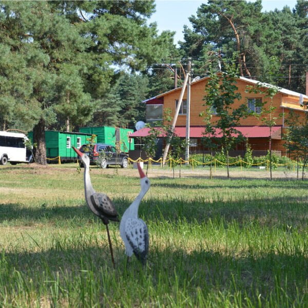 База отдыха Шальное озеро