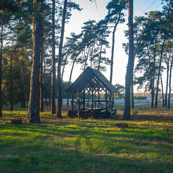 База отдыха Шальное озеро