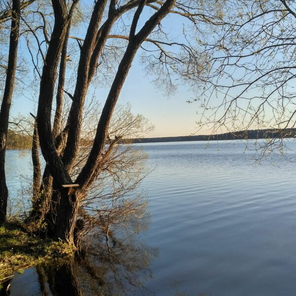 Кемпинг Шип