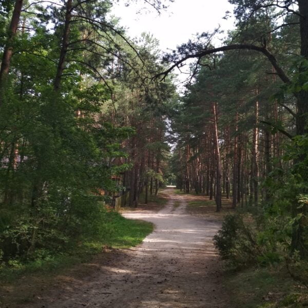 Кемпинг Селяхи