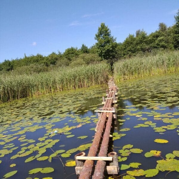 Кемпинг Селяхи