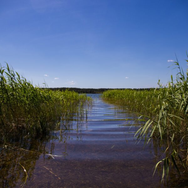 Кемпинг Белое