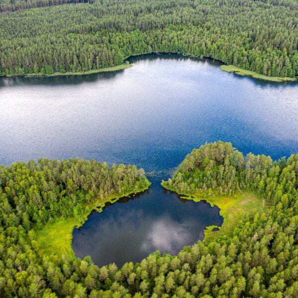 озеро Медведно