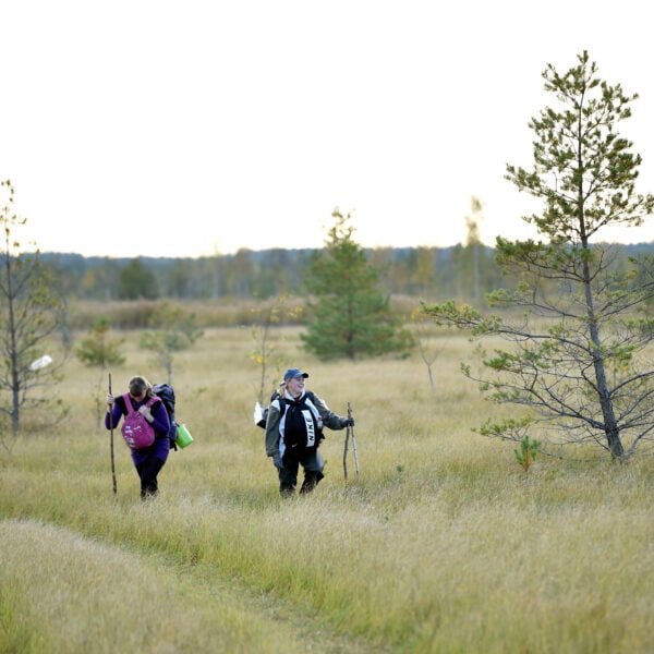 Кемпинг Мерея