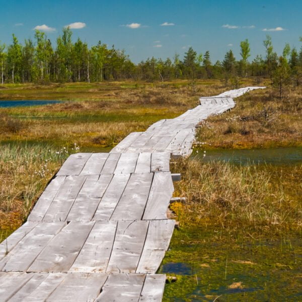 Кемпинг Мерея