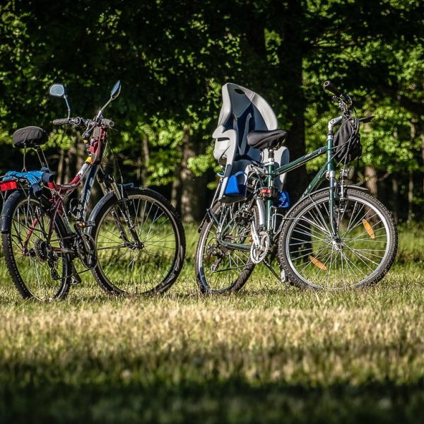 Кемпинг Беловежское поместье