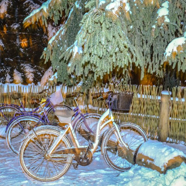 Кемпинг Беловежское поместье