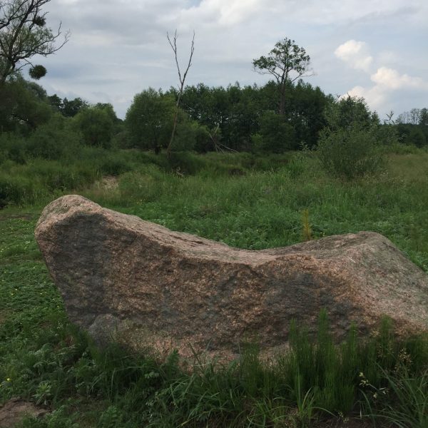 Усадьба Беловежское поместье