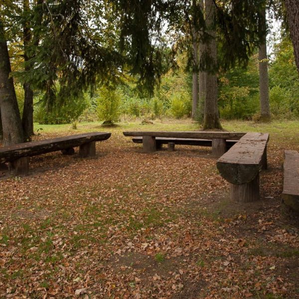 Усадьба Беловежское поместье