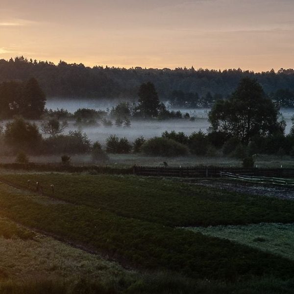 Усадьба Беловежское поместье