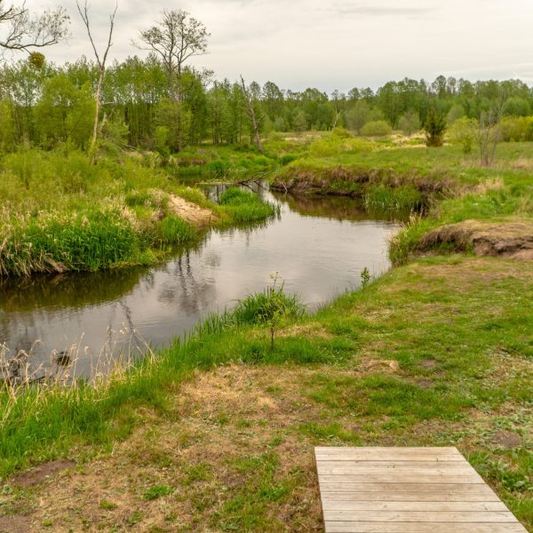 Кемпинг Беловежское поместье