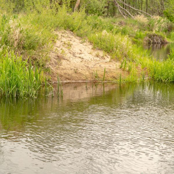 Кемпинг Беловежское поместье