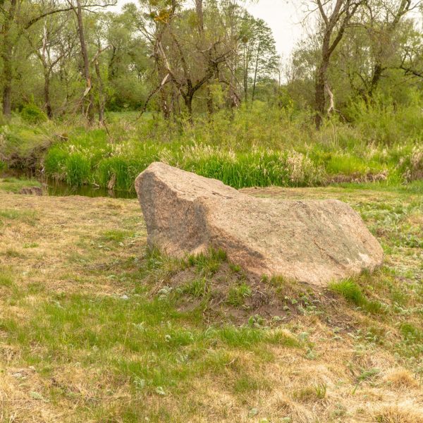 Кемпинг Беловежское поместье