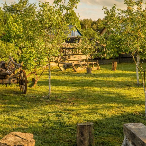 Кемпинг Беловежское поместье