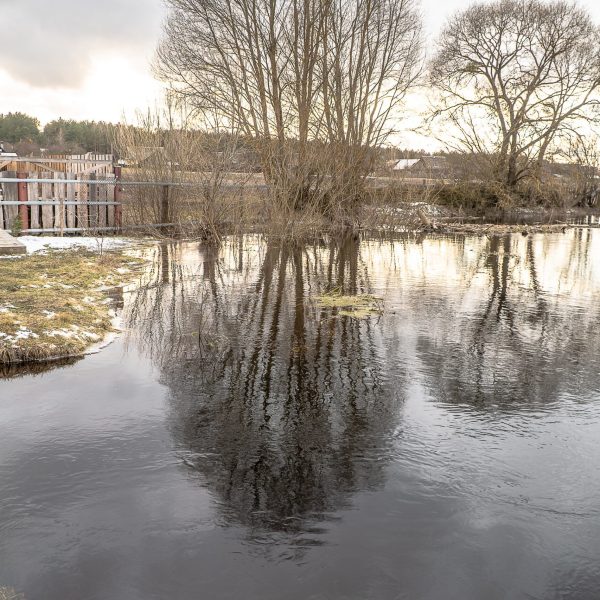 Кемпинг Беловежское поместье