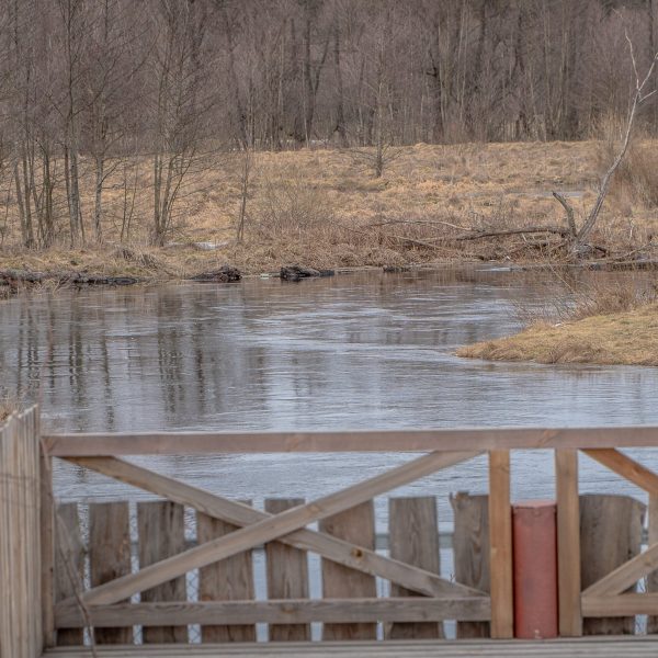 Кемпинг Беловежское поместье