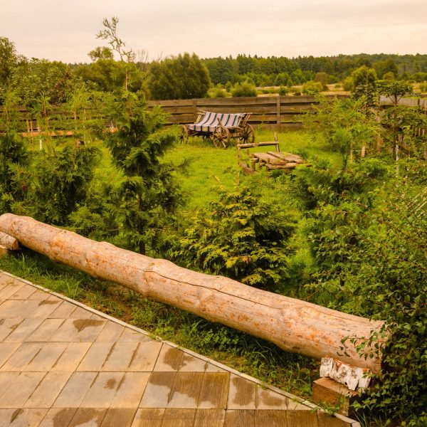 Кемпинг Беловежское поместье
