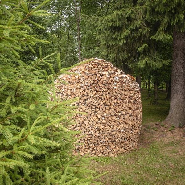 Кемпинг Беловежское поместье