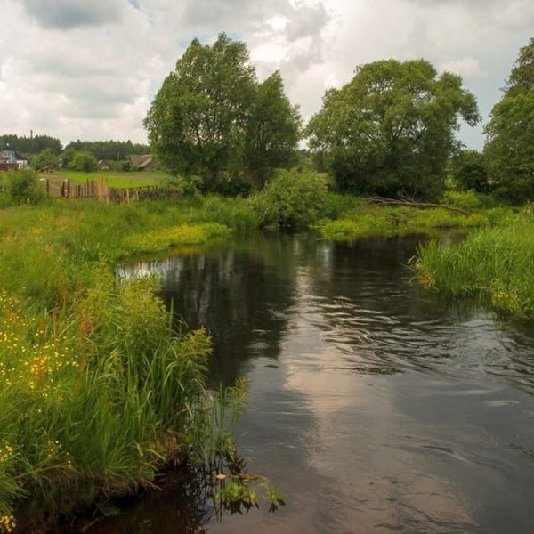 Кемпинг Беловежское поместье
